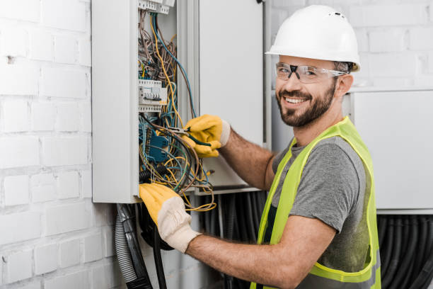 Best Ceiling Fan Installation Electrician  in Diamond Ridge, AK
