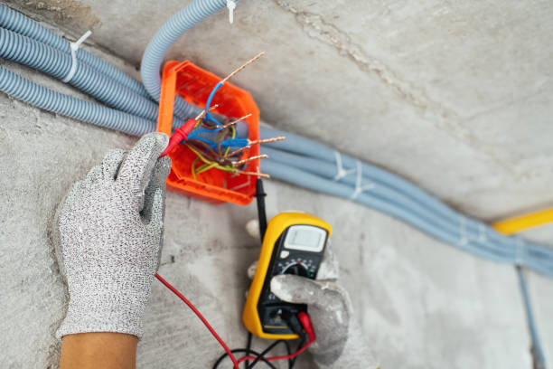 Best Ceiling Fan Installation Electrician  in Diamond Ridge, AK